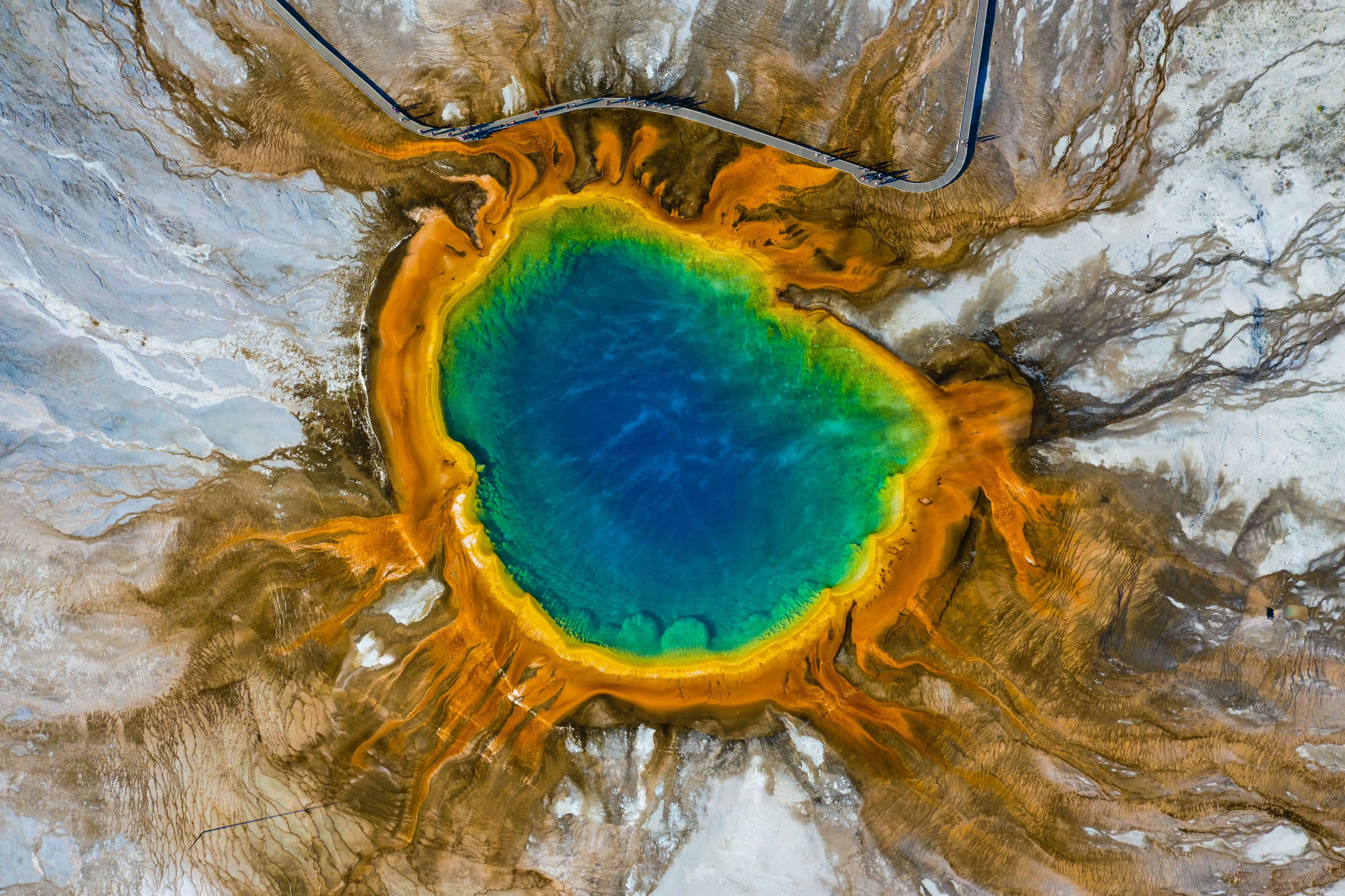 quiz image
