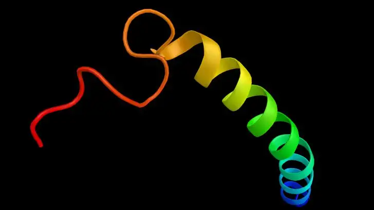 quiz image