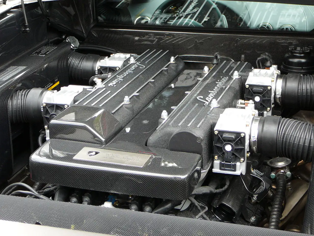 quiz image