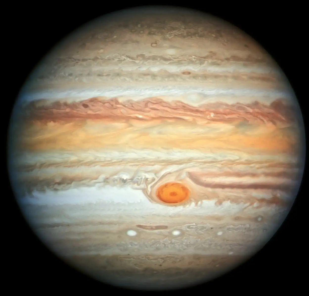 quiz image