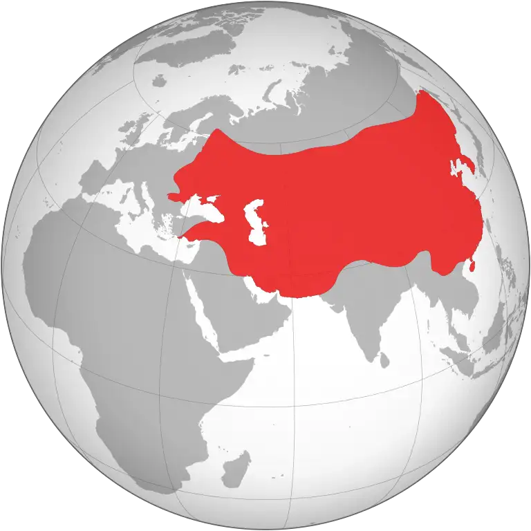 quiz image