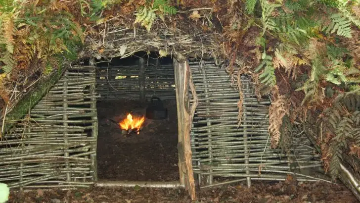 quiz image