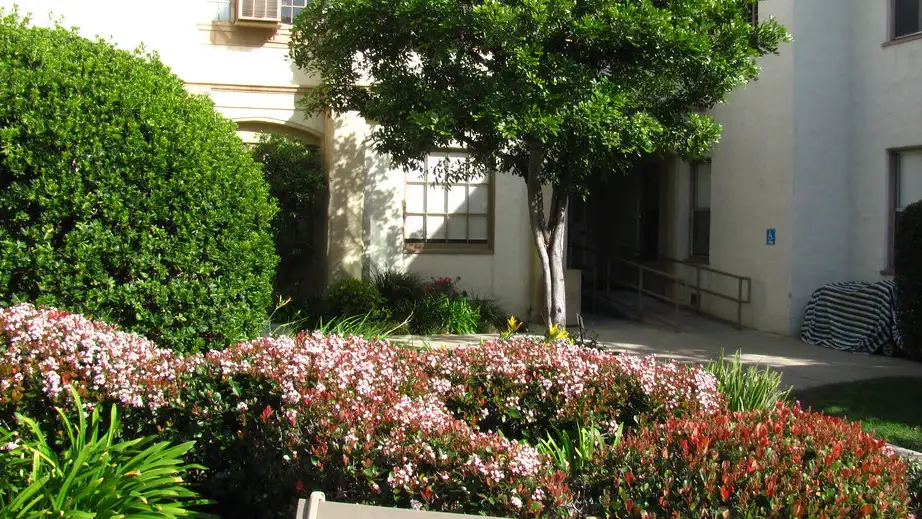 quiz image