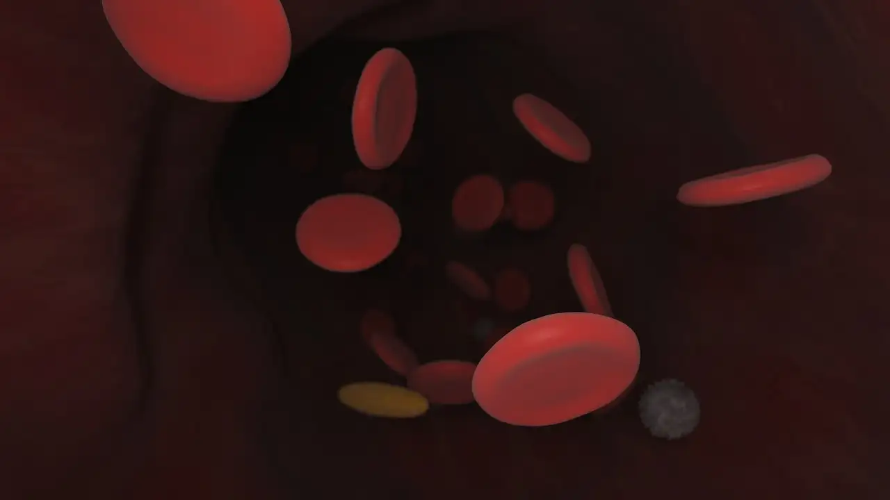quiz image