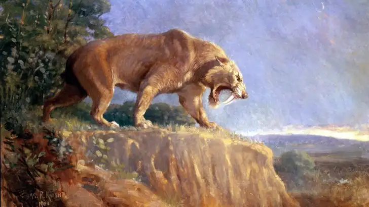 quiz image