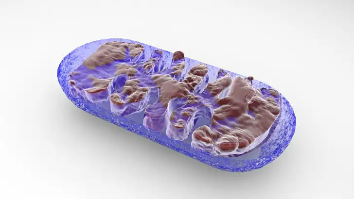 quiz image