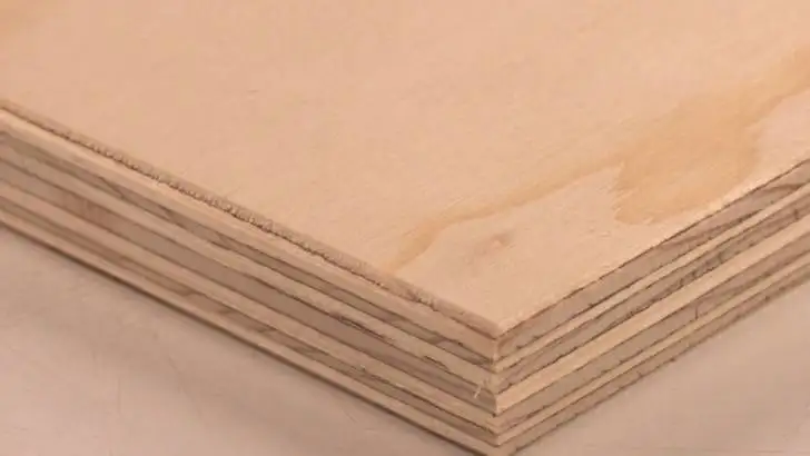 quiz image