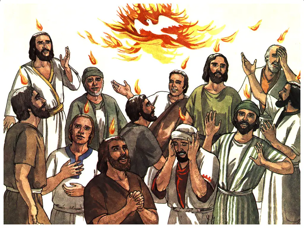 quiz image