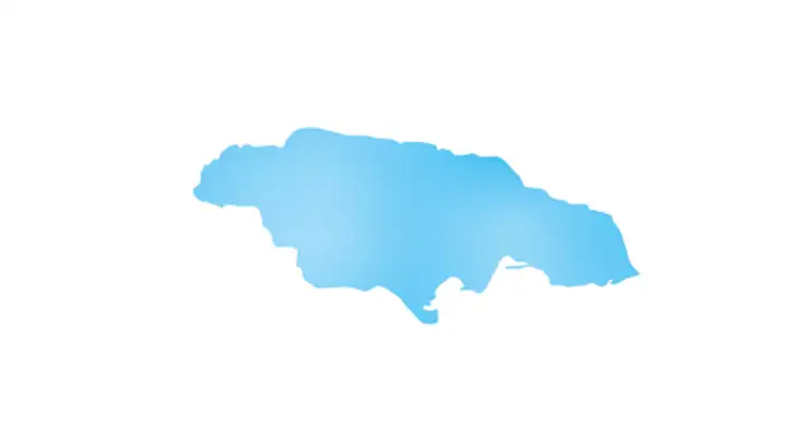quiz image