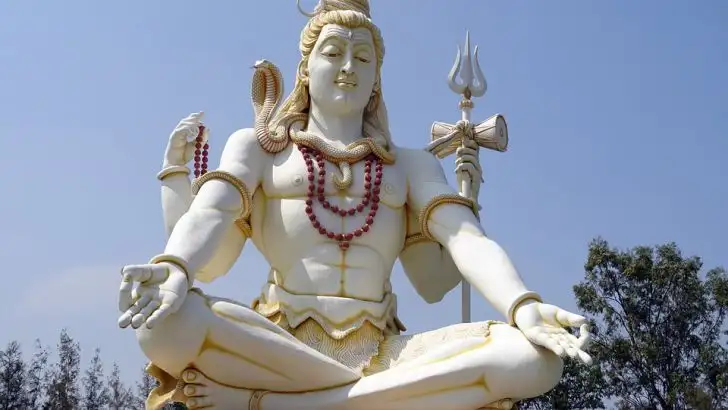 quiz image