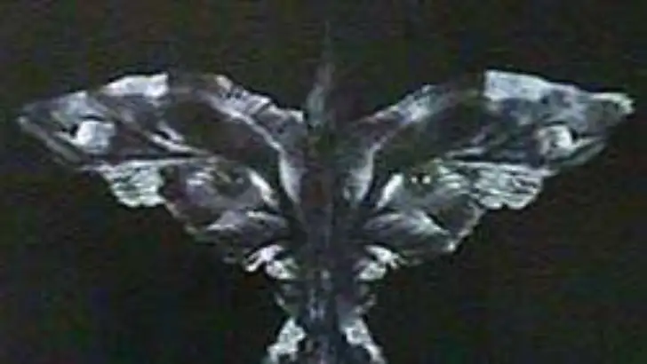 quiz image