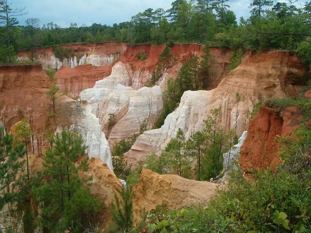 quiz image
