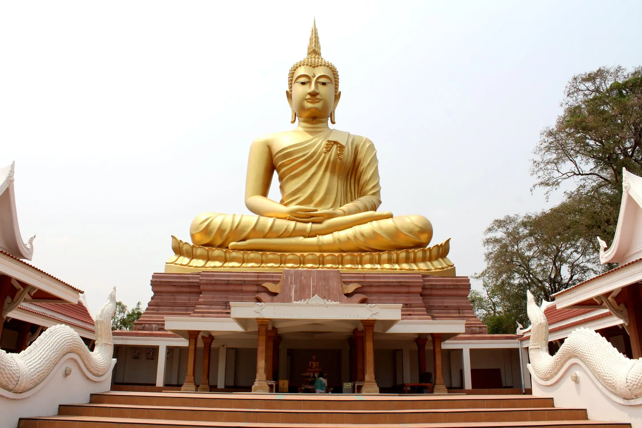 quiz image