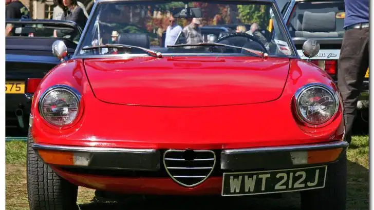 quiz image