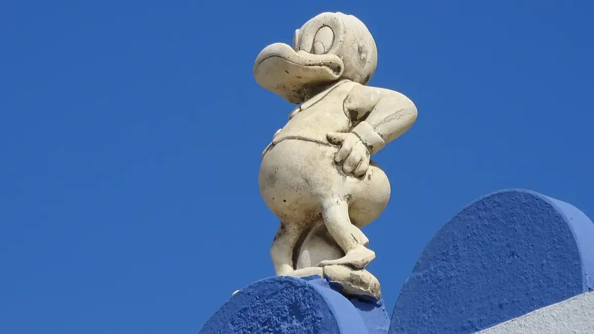 quiz image