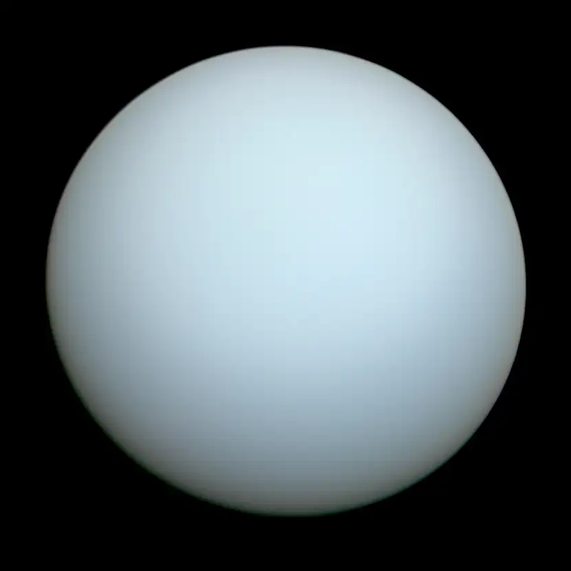 quiz image