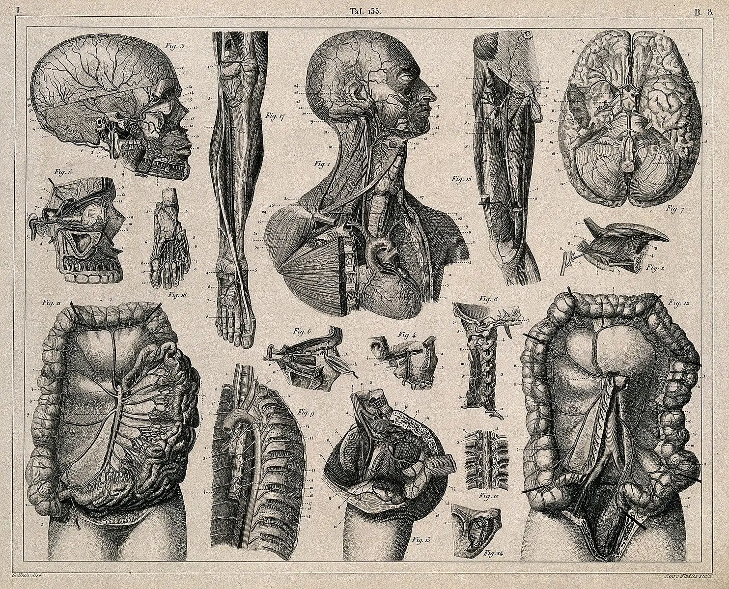 quiz image